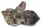 Shangaan Smoky Amethyst Crystal - Chibuku Mine, Zimbabwe #278158-1
